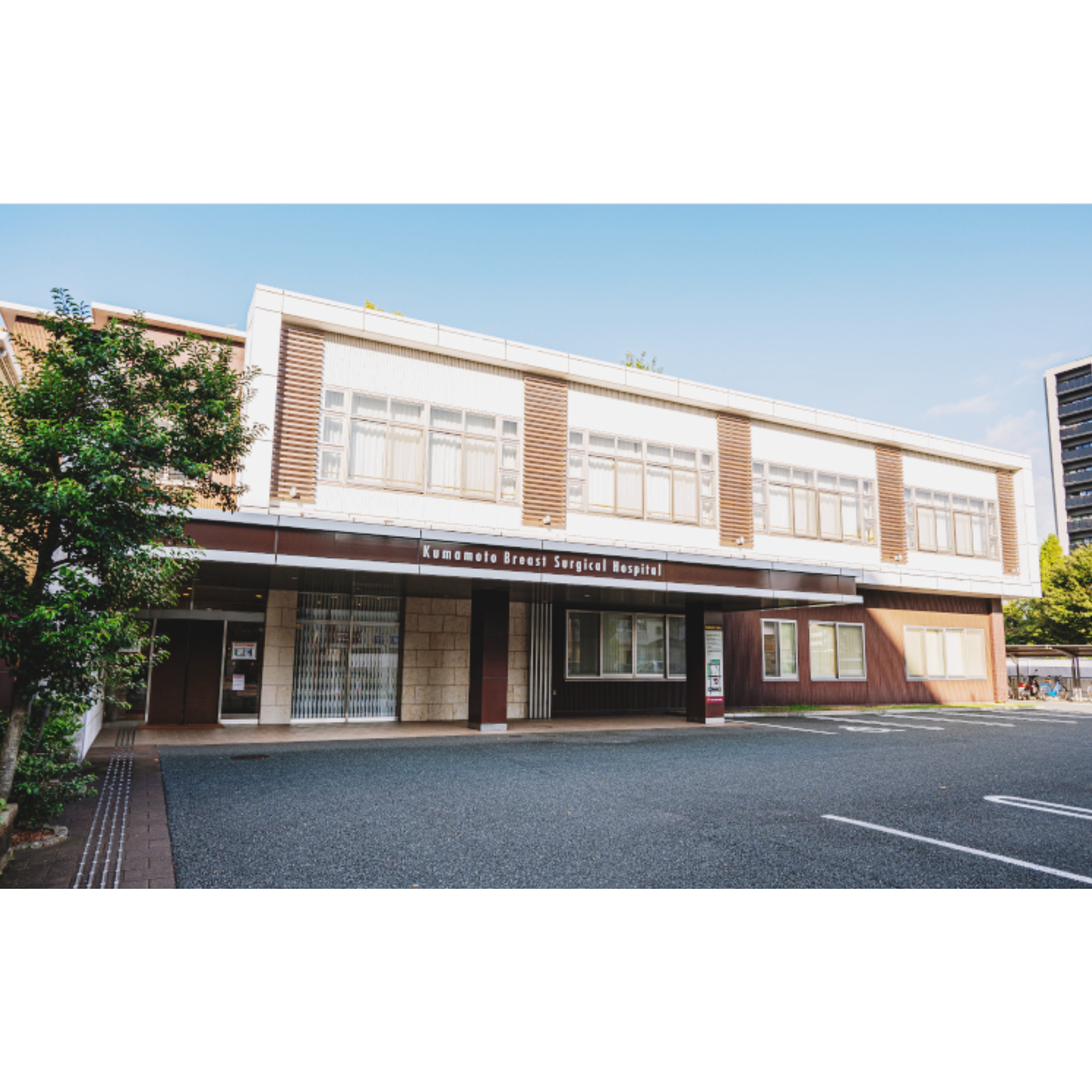 くまもと乳腺外科病院の正社員 看護師 病院求人イメージ
